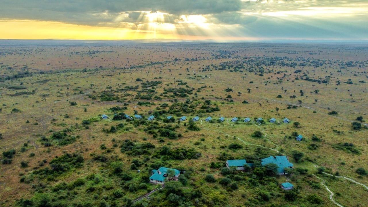 Africa Safari Serengeti Ikoma Luaran gambar