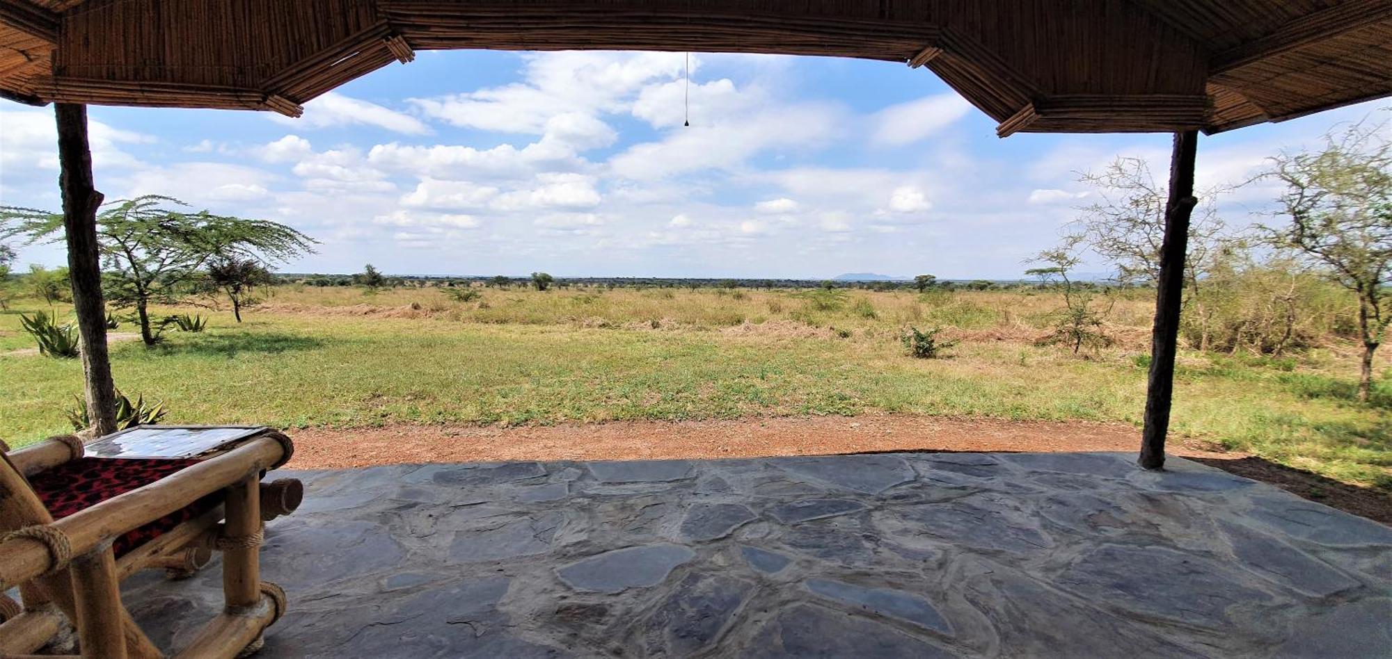 Africa Safari Serengeti Ikoma Luaran gambar